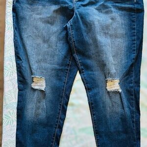 Lane Bryant Blue Skinny Jeans Distressed